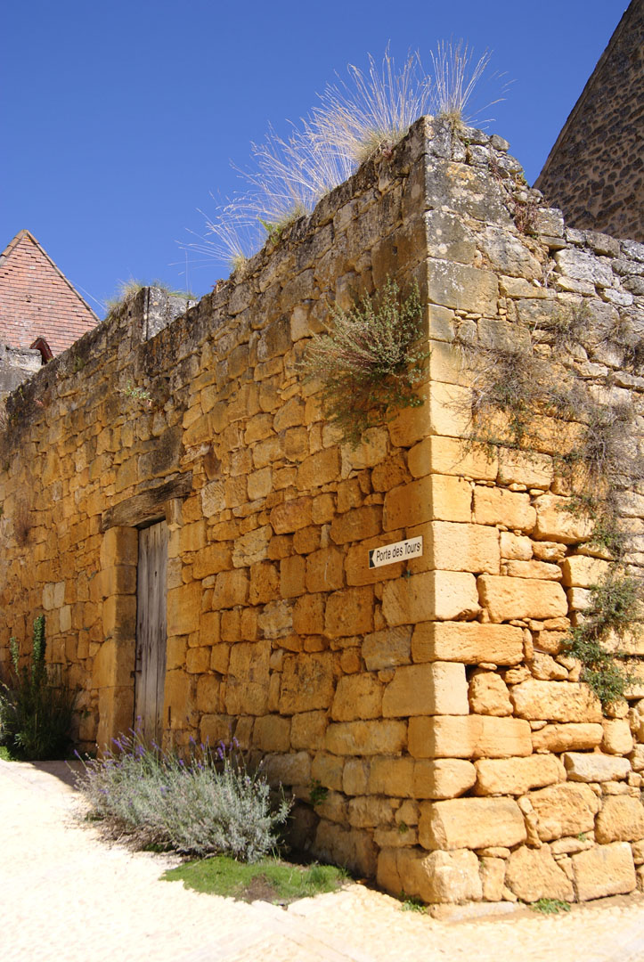 atelier Coq agence architecture architecte Sarlat Dordogne réalisation paysage Valorisation rue bastide domme 2017 DSC00353 prt