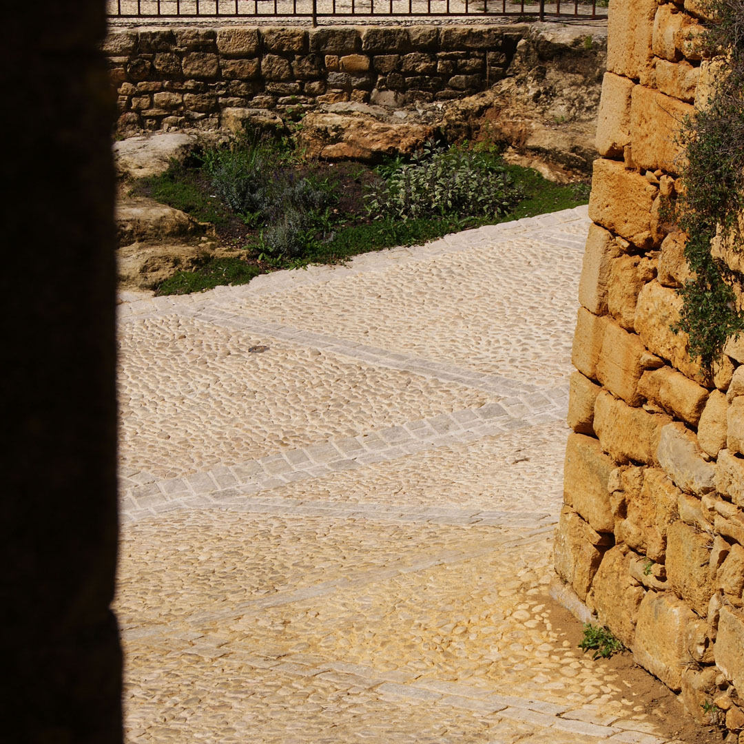 atelier Coq agence architecture architecte Sarlat Dordogne réalisation paysage Valorisation rue bastide domme 2017 DSC00363 prt