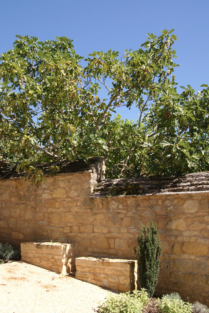 atelier Coq agence architecture architecte Sarlat Dordogne réalisation paysage Valorisation rue bastide domme 2017 DSC00374 prt